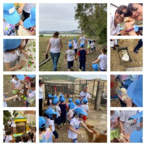 Visita in fattoria dei bambini della scuola dell'infanzia