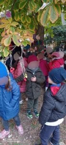 Festa dell'albero - scuola dell'infanzia