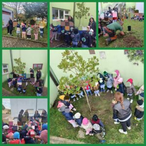 Giornata Nazionale dell'Albero - scuola dell'infanzia plesso Guerricchio.