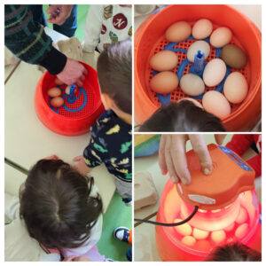 Progetto "Dall'uovo alla Gallina" - scuola dell'infanzia via Cosenza.