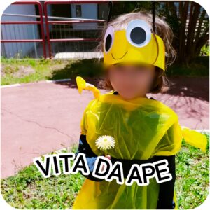 Attività per la "Giornata mondiale delle api" - scuola dell'infanzia plesso Cosenza.