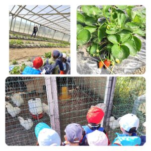 Progetto "Dall'uovo alla gallina"- scuola dell'infanzia plesso Cosenza.