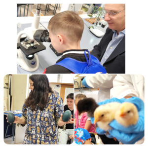 Progetto "Dall'uovo alla gallina"- scuola dell'infanzia plesso Cosenza.